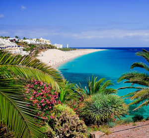 Traumhafter Strand auf Fuerteventura mit t&uuml;rkisblauem Meer, wei&szlig;em Sand und &uuml;ppiger Vegetation im Vordergrund bei sonnigem Fr&uuml;hlingswetter.