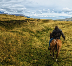 Ein Reiter auf einem Pferd durchquert eine weite, goldene H&uuml;gellandschaft unter dramatisch bew&ouml;lktem Himmel.