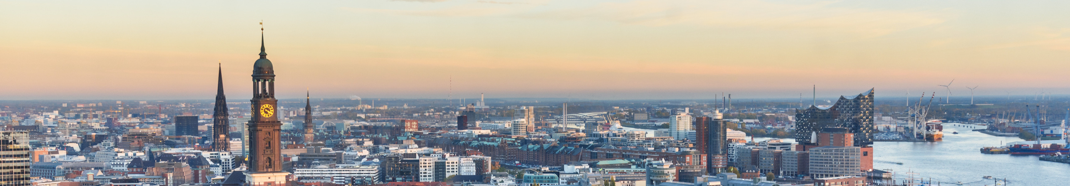Panoramablick auf Hamburg mit Michelkirche, Elbphilharmonie und herbstlich gef&auml;rbtem Park