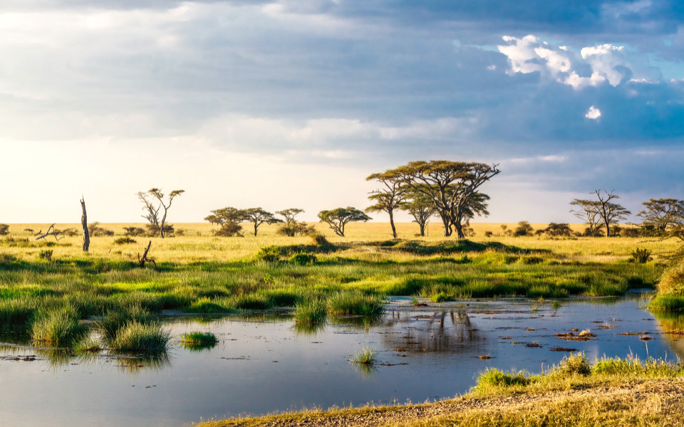 Weite Savannenlandschaft in Tansania mit vereinzelten Bäumen und einem ruhigen Gewässer, typisch für eine Safari-Umgebung.
