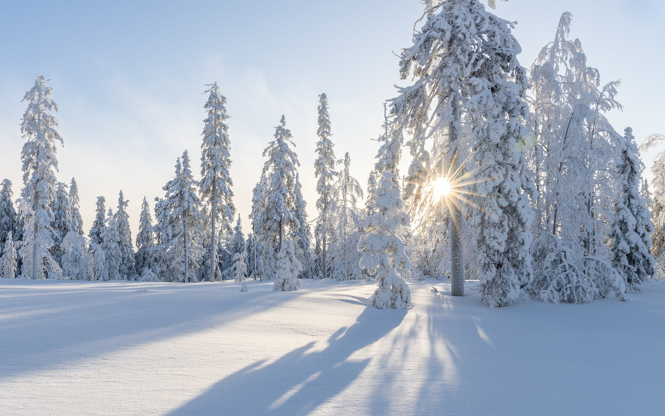 Winterurlaub - Gl&uuml;hwein, Winter-Wunderland und ganz viel Naturschauspiel 