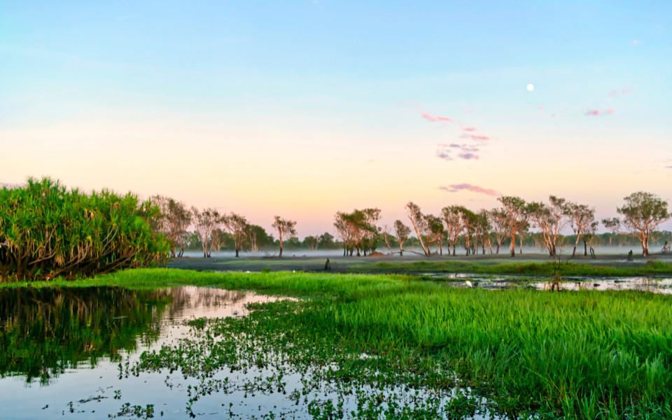 Sonnenaufgang &uuml;ber dem Yellow Water Billabong im Kakadu-Nationalpark in Australien