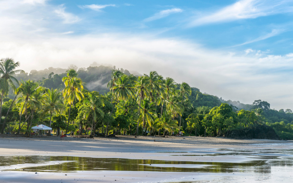 Wundersch&ouml;ner tropischer Strand mit wei&szlig;em Sand, gr&uuml;nen Palmen und blauem Meer im Nationalpark in Costa Rica, Mittelamerika.