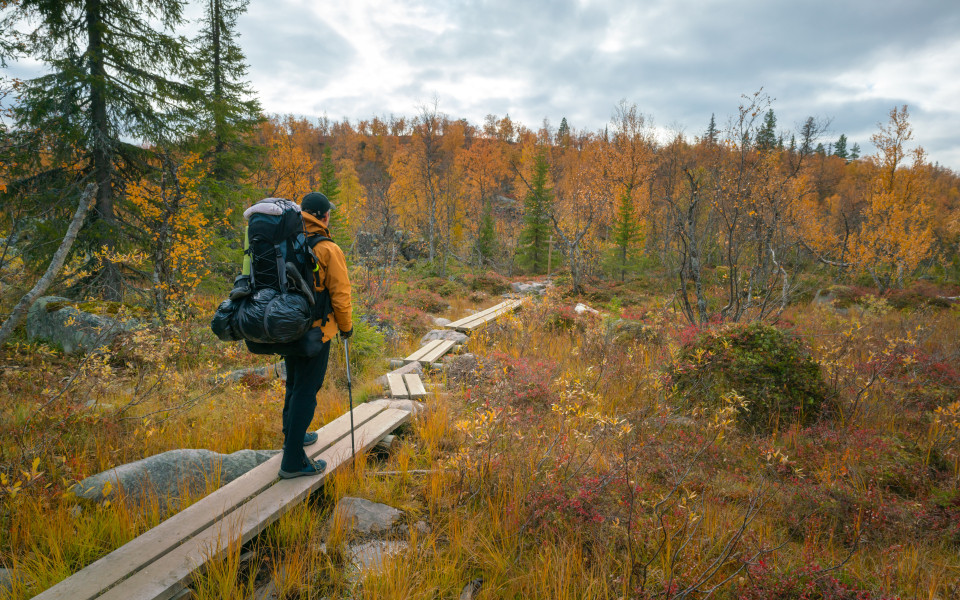 Wanderer geht durch die Landschaft des Pallas-Yllastunturi-Nationalparks im finnischen Lappland.