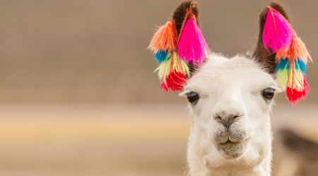 AdobeStock_193888418