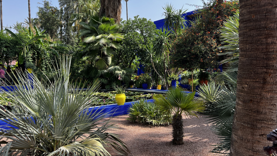 Jardin Majorelle, Marrakesch